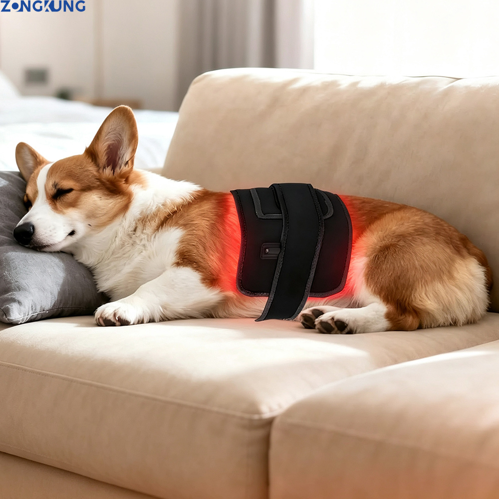 Galvanic Skin Sensor - Terapia czerwonym światłem dla zwierząt, urządzenie